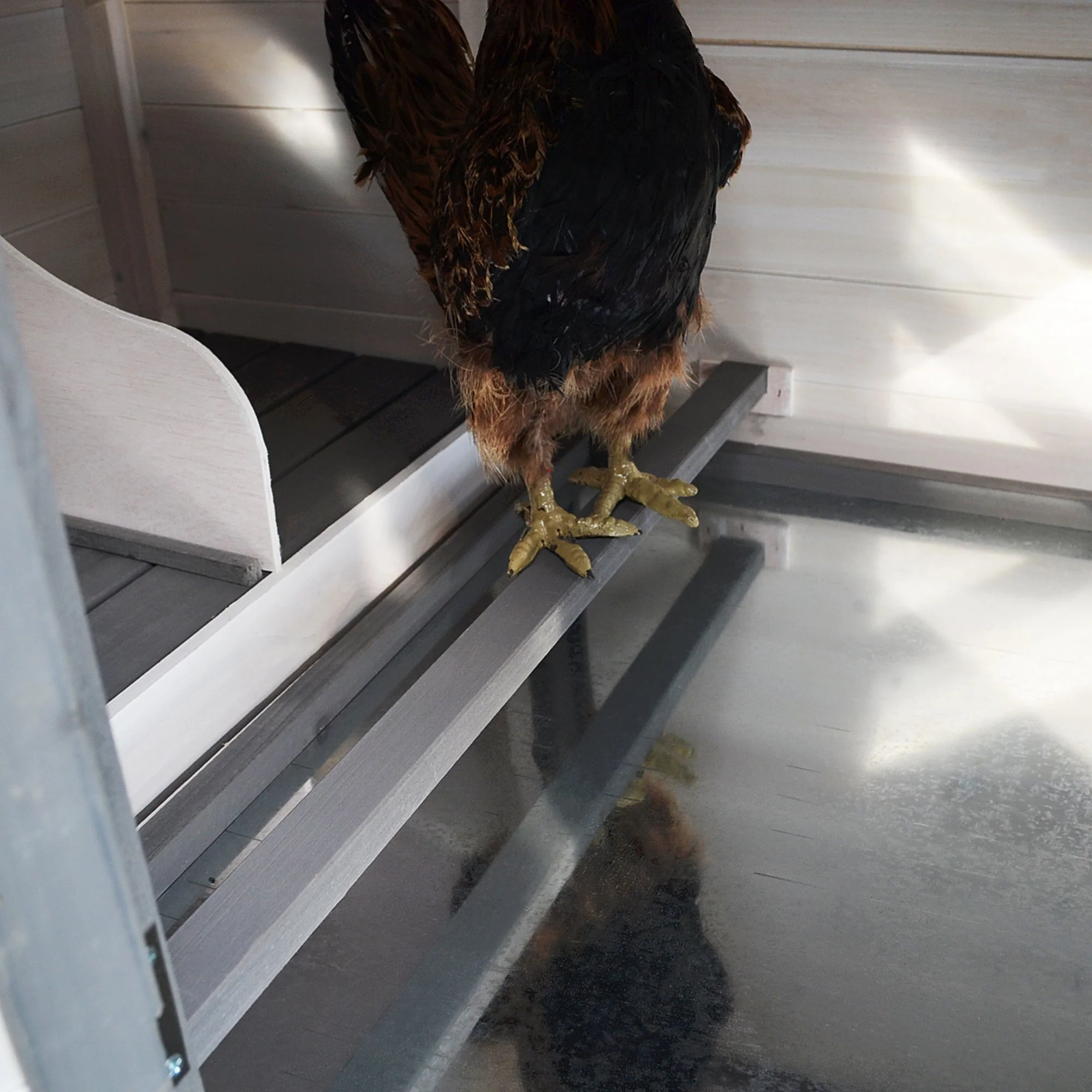 PawHut Chicken Coop with Run Hen House Poultry Coops Cages Pen Outdoor Backyard with Nesting Box 196 x 76 x 97cm Grey - Image 8